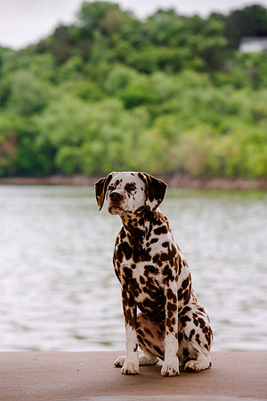 2021-KathleenRileyPhotography-7200