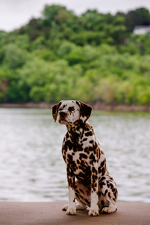 2021-KathleenRileyPhotography-7201