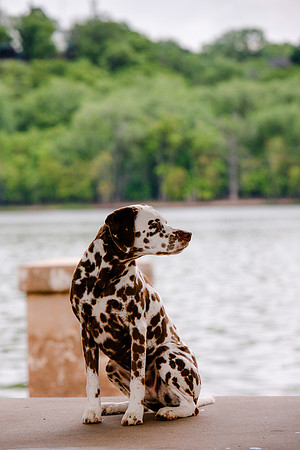 2021-KathleenRileyPhotography-7207