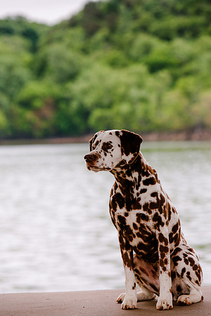 2021-KathleenRileyPhotography-7242