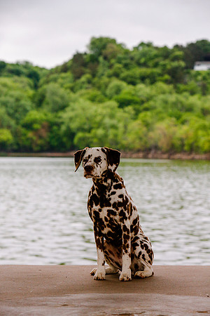 2021-KathleenRileyPhotography-7245
