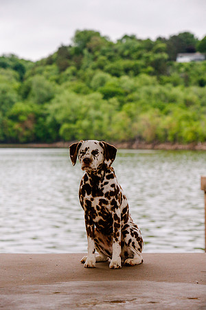 2021-KathleenRileyPhotography-7262