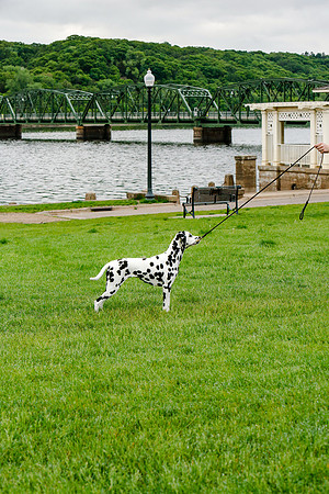 2021-KathleenRileyPhotography-7337