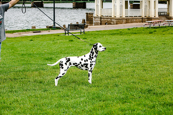 2021-KathleenRileyPhotography-7362