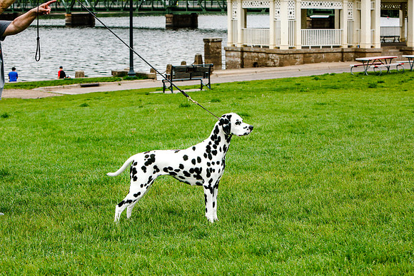 2021-KathleenRileyPhotography-7384