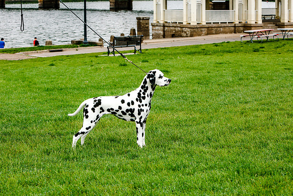 2021-KathleenRileyPhotography-7394