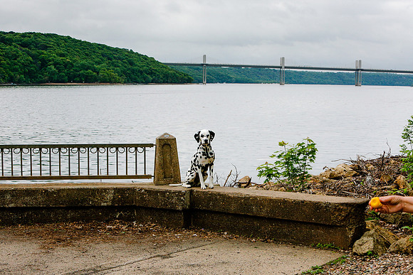 2021-KathleenRileyPhotography-7708
