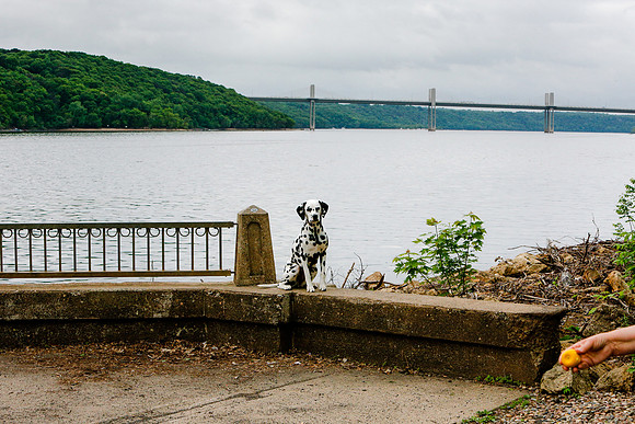 2021-KathleenRileyPhotography-7709