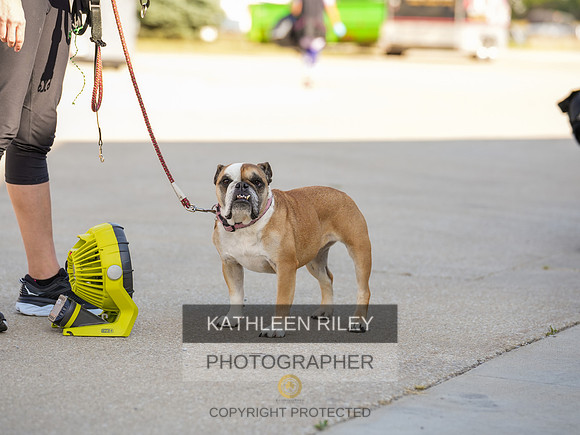2022-KathleenRileyPhotography-03732
