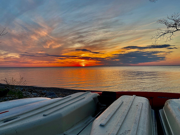 IMG_7832