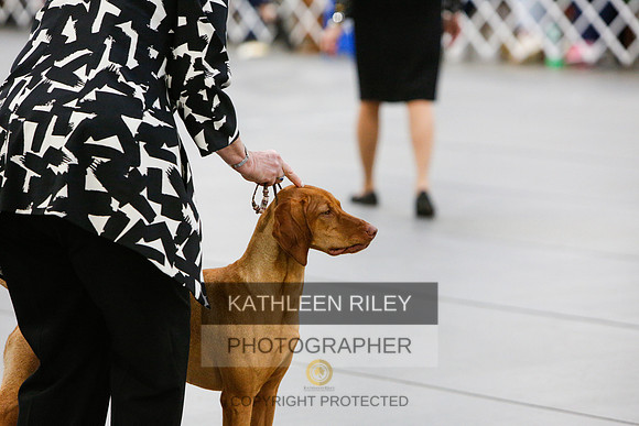 2022-KathleenRileyPhotography-7294