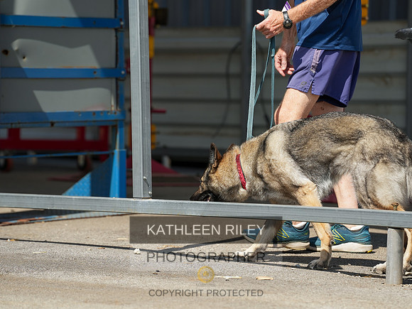 2022-KathleenRileyPhotography-04324