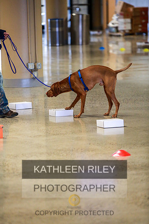 2022-KathleenRileyPhotography-7396