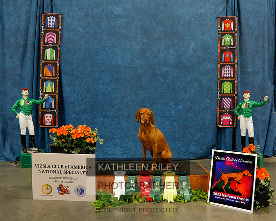 2022-KathleenRileyPhotography-6147