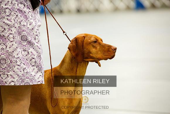 2022-KathleenRileyPhotography-9929