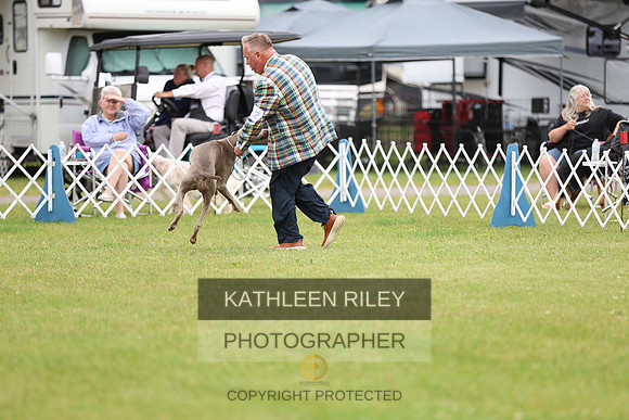SJLT6676