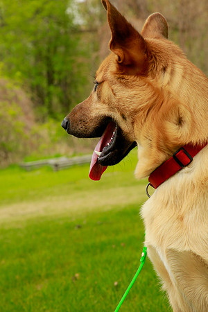 2021-KathleenRileyPhotography-5519