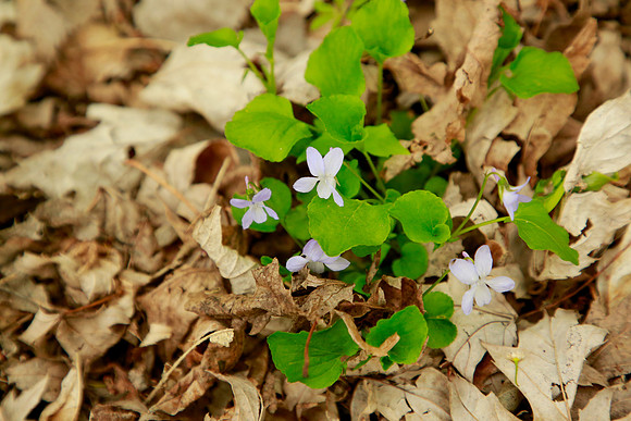 2021-KathleenRileyPhotography-5547