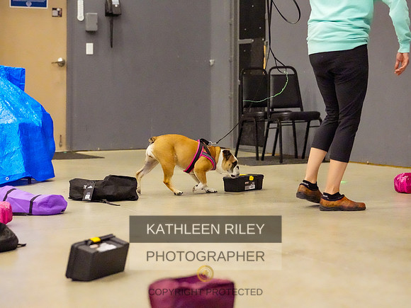2022-KathleenRileyPhotography-08735