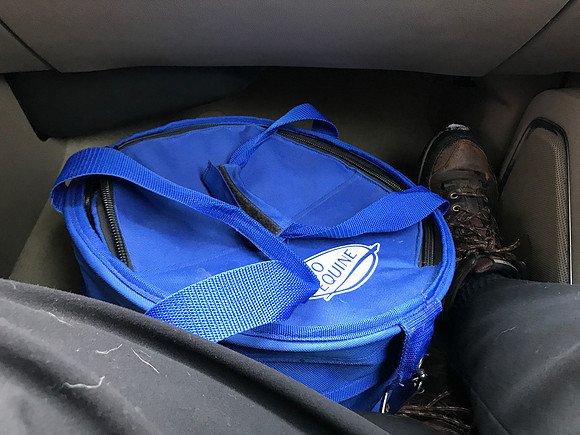 Pupsters are inside this insulated cooler on the way to the DVM for a check up.