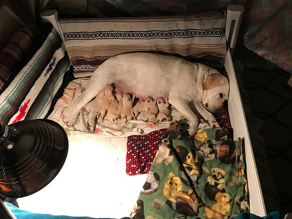 Hard to believe how tiny they were!