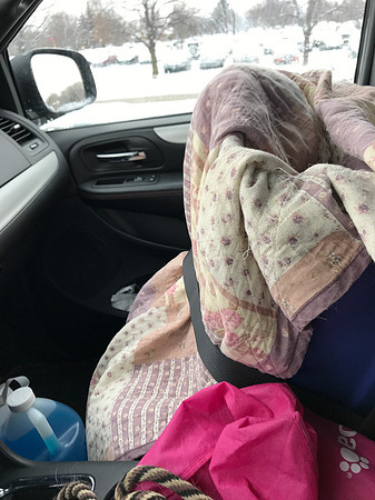 Under that blanket is a Rubbermaid tub with the puppies inside.