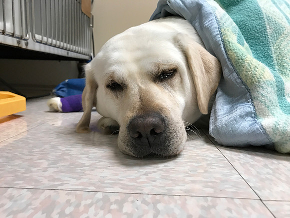 FTV recovering from the C-Section