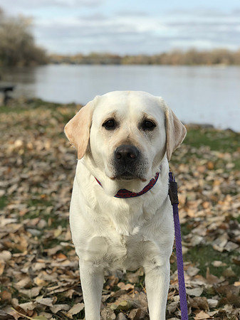 FTV (Fluffy the Vampire) at the Mississippi River near our house.