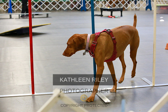 2022-KathleenRileyPhotography-7795