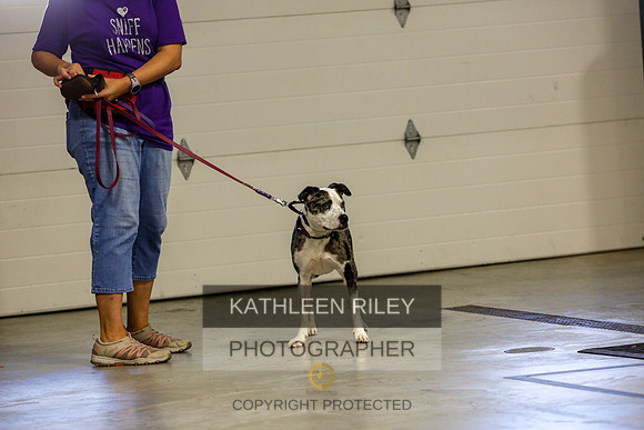 2022-KathleenRileyPhotography-4573