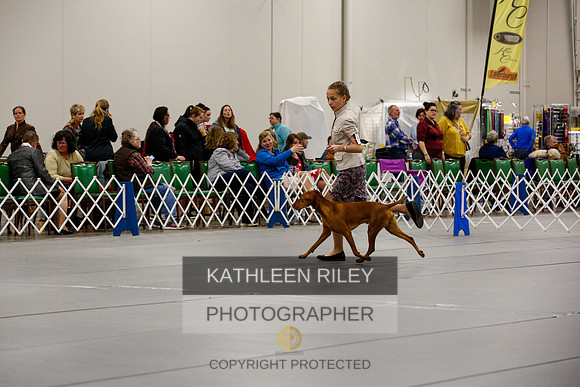 2022-KathleenRileyPhotography-1802