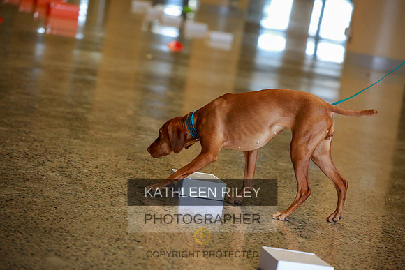 2022-KathleenRileyPhotography-7547