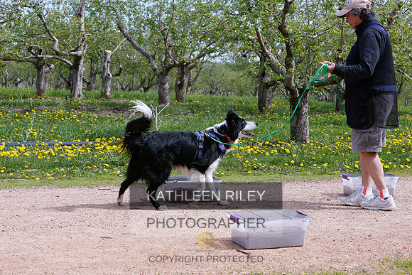 2022-KathleenRileyPhotography-8715