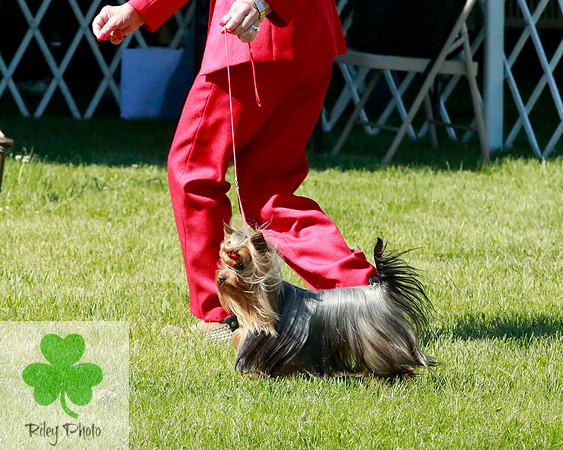 2021-KathleenRileyPhotography-7111