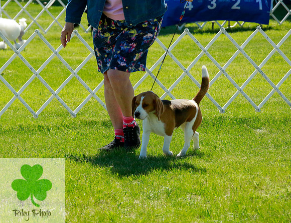 2021-KathleenRileyPhotography-7144