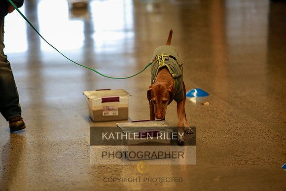 2022-KathleenRileyPhotography-7271