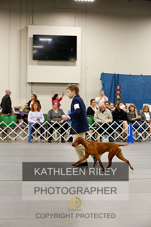 2022-KathleenRileyPhotography-0383
