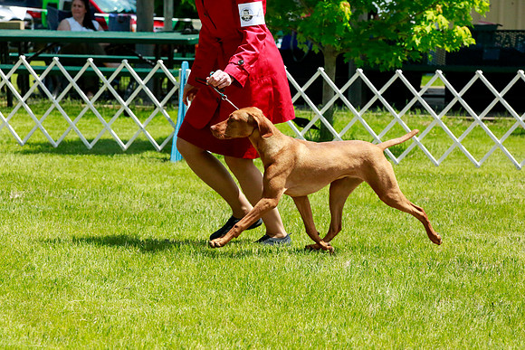 2021-KathleenRileyPhotography-5599