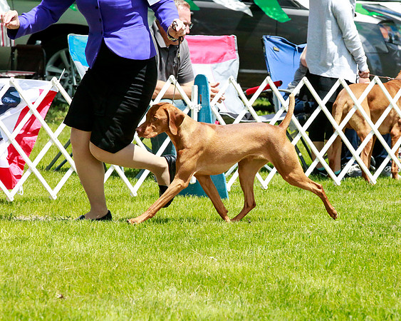 2021-KathleenRileyPhotography-5689
