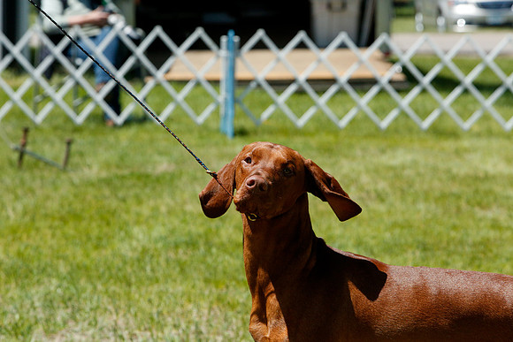 2021-KathleenRileyPhotography-7974