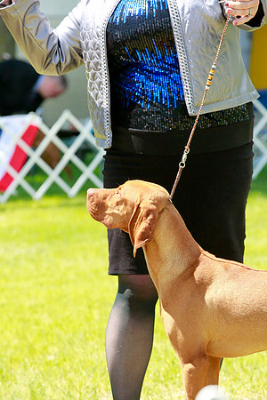 2021-KathleenRileyPhotography-6489