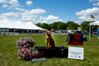 2021-KathleenRileyPhotography-7787