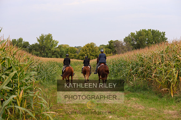 SJLT5840