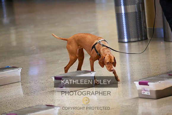 2022-KathleenRileyPhotography-7751