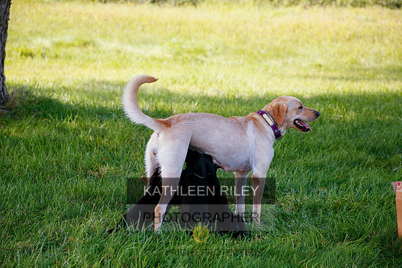 2022-KathleenRileyPhotography-5375