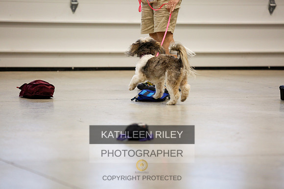 2022-KathleenRileyPhotography-7272