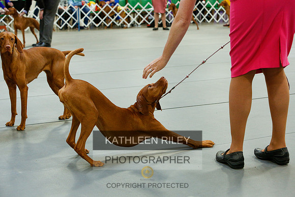 2022-KathleenRileyPhotography-3847