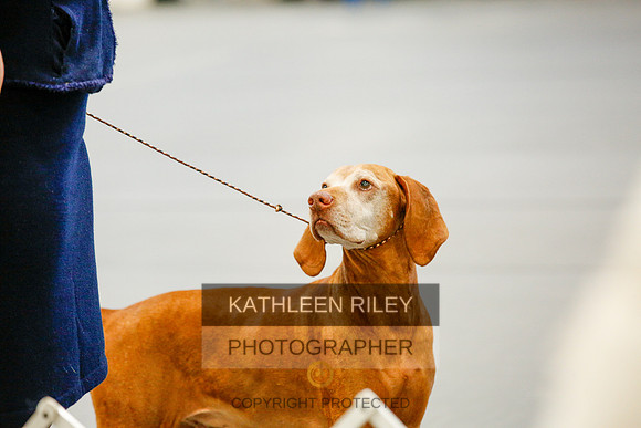 2022-KathleenRileyPhotography-1278