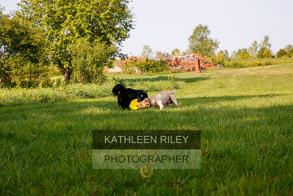 2022-KathleenRileyPhotography-5557