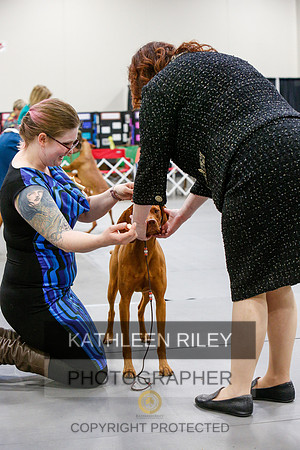 2022-KathleenRileyPhotography-7000